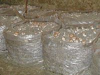 Mushrooms used to be grown on large piles of decomposing mulch.  Now they are grown in plastic bags like these