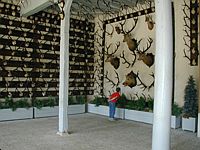 Admiring the trophies in the trophy house