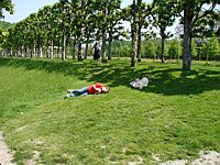 'Roll, Roll, Roll down the hill'