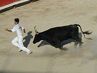 Running from the bull and not worrying about grabbing the strings this time