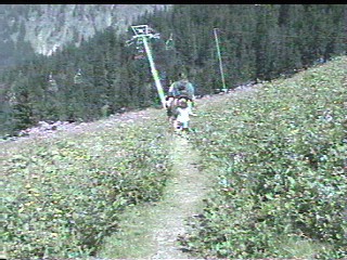 As the trail falls over the horizon, at least we know we have the ski lift to bring us back