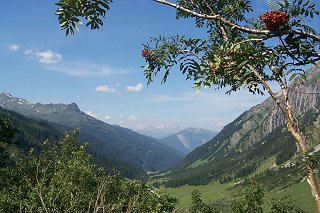 The alps of Austria