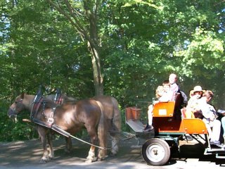 We chose the easy ride down from the castle--sitting right behind the 'natural gas propelled' horses.