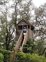 A treehouse just for fun.
