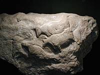 Auroch of the Fourneau du Diable (16,000BC)