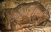Polychrome Bison (12,000BC) Grotte du Font de Gaume