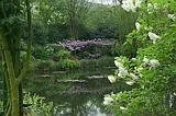 Lilac and wisteria around the pond