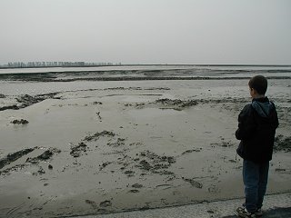 Low tide leaves a thick, rich mud that makes a wonderful 'sploop' when a well thrown rock lands just right