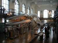 The aquarium is also a teaching facility with a large collection preserved specimens