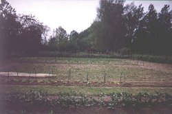 Cold frames in a field