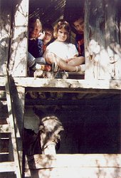 Hanging out in the loft