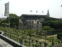 The royal vineyards
