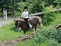 Jumping a log--my favorite.  The funny basket on her nose is to keep her from stopping to eat.