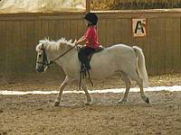 This is me on Prymabel.  This is the first pony I fell off of.  She stopped to eat some grass and pulled me right out of the saddle.  I did not like that.