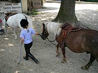 It is not so hard to take them walking.  They are just my size.