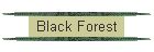 Black Forest