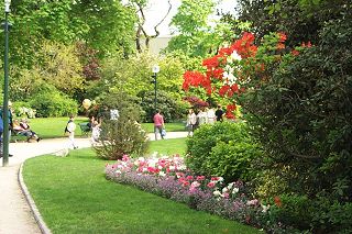 Flowers in the spring