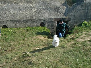 The kids exploring the bunkers