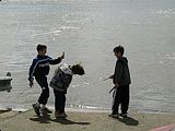 Playing 'throw the stick in the Seine' with the locals